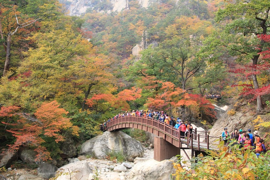 Destinos de Asia donde el otoño luce mejor entre templos, montañas y mercados